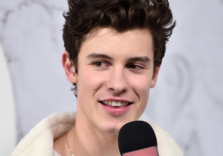 Shawn Mendes One Direction
